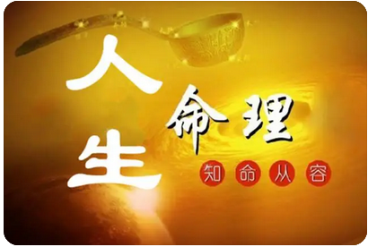 一般来说，戌时出生的人，往哪个方向去发展会较利求财？_真人八字在线算命