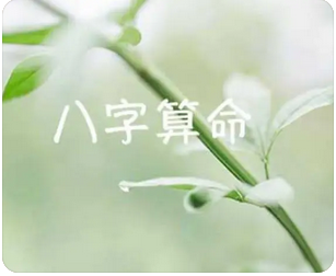 印星支撑适合做些有技术性有文化属性的工作_八字算命网