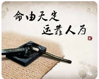 甲木亦无强根，帮身力度不大，日坐亥水为正印_八字算命网