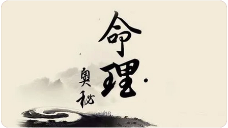 1981年请问师傅我的事业财运情况_官方算命一条街