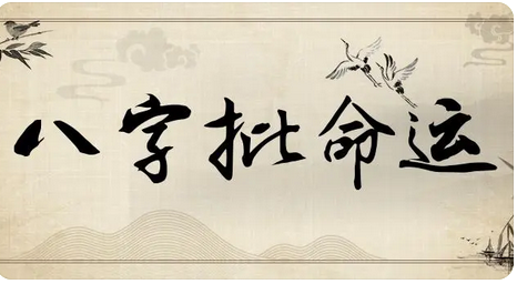 请师傅您帮我分析下未来的事业财运会怎么样_一对一真人算命