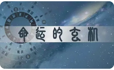 周易与预测：一个自私的丈夫可以做出哪些事情