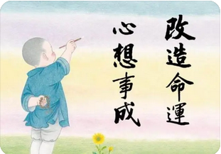 免费批八字：甲木男孩的“养护”法则