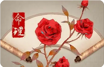 这种命局组合不错早期运不错，异性缘也不错_算卦街算命一条街