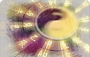 网上算命一条街准吗_这种命格天生的感情上容易被骗怎么办