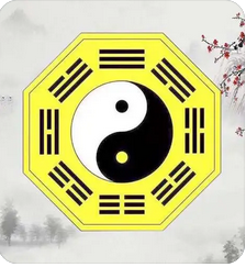 付费算命_与辰年生者相冲，和此二年生者婚配不利
