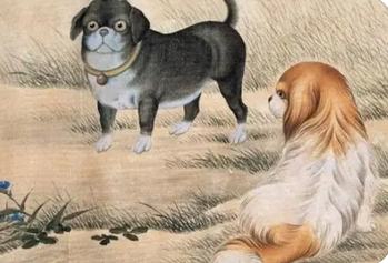 运势查询2023年免费_2023兔年12生肖运势【狗】(图2) image.png