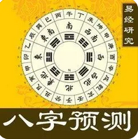 真人算命_命局在专业领域表现不错，工作成绩良好