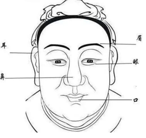 面相在线分析_“眉怕相交，耳怕垂小”，耳垂小不好