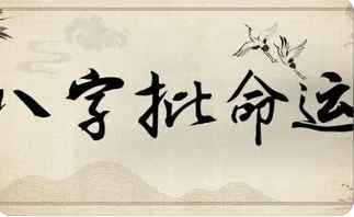 网上算命大师_单纯看命主的八字，没有子女星