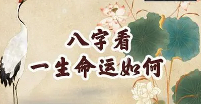 真人算命_八字应财多身弱，我以后的事业财运如何？
