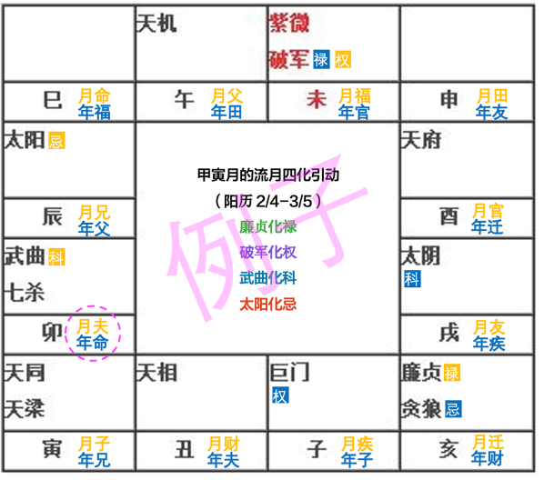 紫薇斗数算命：紫微斗数2023年11月运势分析