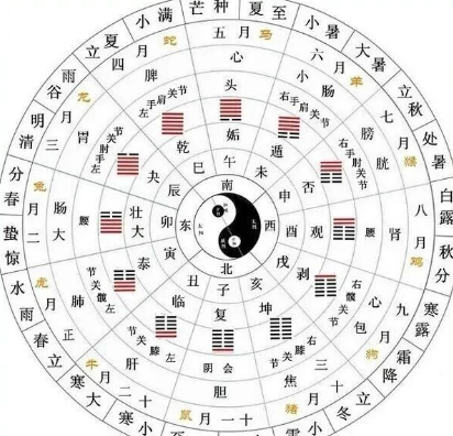 十二时辰：藏在光阴里的智慧（八字真人在线算命）