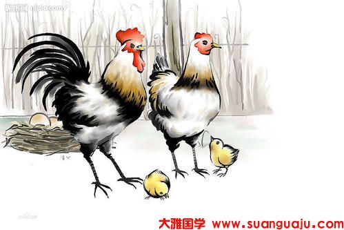 免费大师算命：2021年属鸡的吉祥幸运色和忌讳颜色是什么(图2)