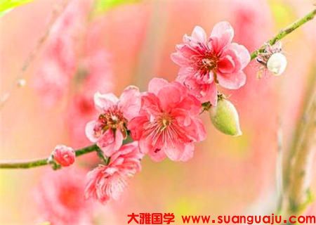 生肖属龙的人2021年桃花运与桃花方向 周易算命婚姻配对(图2)