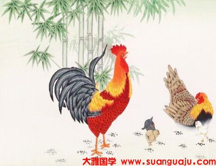 周易与易经​：生肖属鸡人一生最克谁 属兔属鸡属狗(图1)