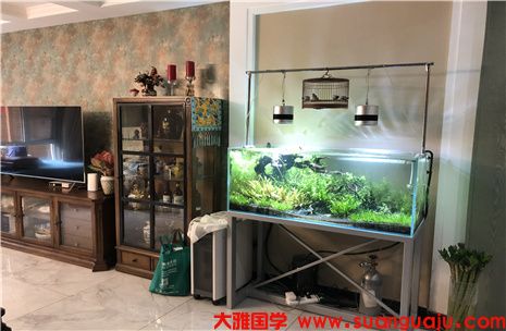 住什么样的房子会发财 命理风水(图2)