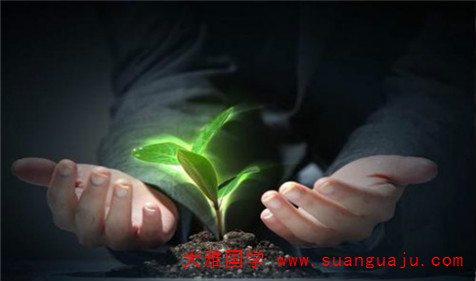 在线五行测算：木命人做什么生意红火 性格沉稳高智力行业