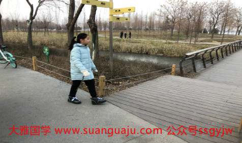 合八字算命​：猪年亥时出生的女孩命运 讨人喜欢一生顺遂(图3)