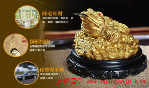 家中摆放蟾蜍的讲究 命理风水堂(图2)