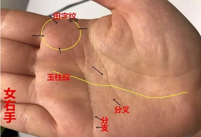 看手相算命：手相中绳索状的纹理符号的解释