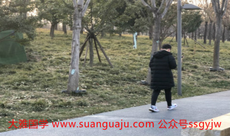 八字命理：八字枭神夺食苦不堪言，大运财星破印发财如虎