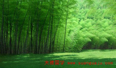 周易五行算命：八字五行之木的喜与忌（图解）(图2)