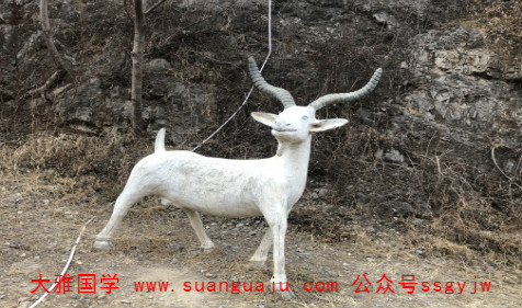 网上算卦婚姻：生肖羊人2021年10月份桃花运势
