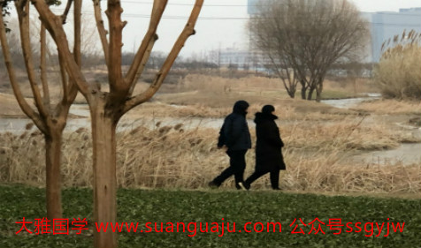 男女八字配对:辰龙四柱全阳,容易耽搁正缘(图文)(图2) 男女八字配对:辰龙四柱全阳,容易耽搁正缘(图文)(图2)