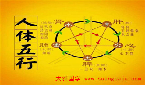 易经与周易：从你八字里看出易得什么疾病（图文）(图3)