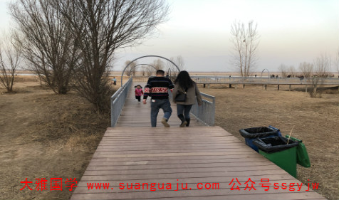 免费八字合婚：属猴和属猪在一起合不合（图文）