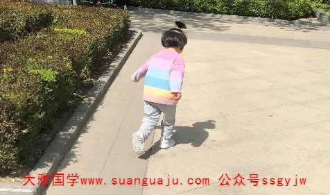 免费算命起名：2021年7月11号六月初二出生的女孩起名字好听温柔(图2)