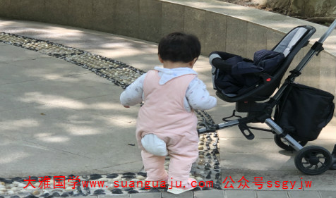 属蛇和属鼠的孩子属什么好 算命准的网站（图文）(图2)