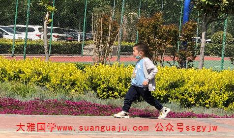 属虎和属鼠的孩子属什么好 卜易居免费算命网（图解）