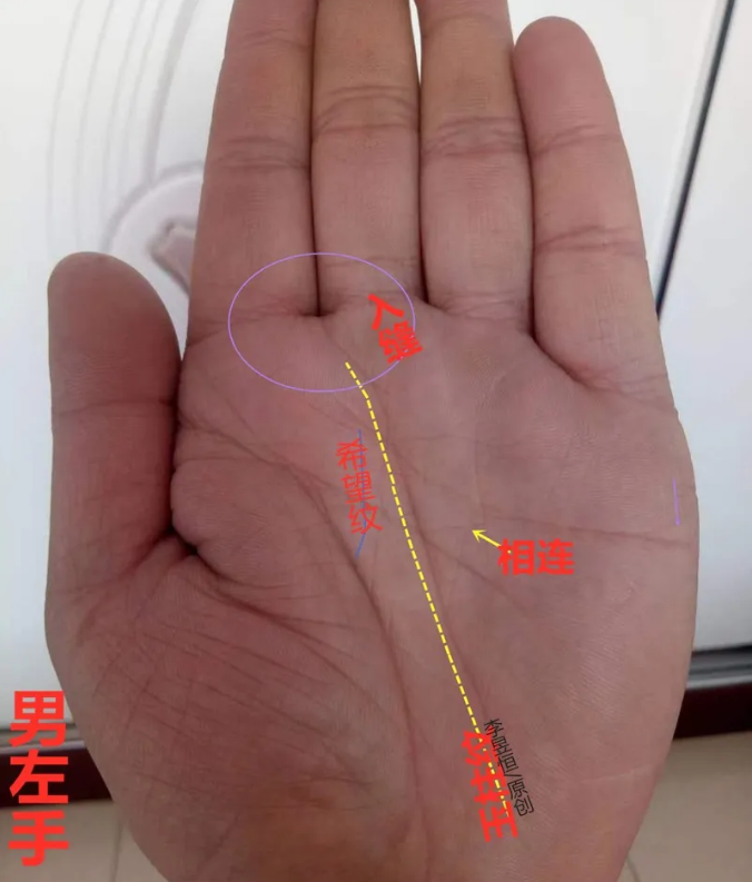 看手相算命：希望纹目标明确，线过两桥事有所成！(图2)