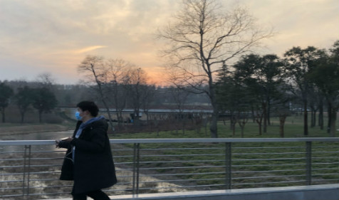 八字算命免费分析从势大运不助，导致人生高不成低不就(图1)