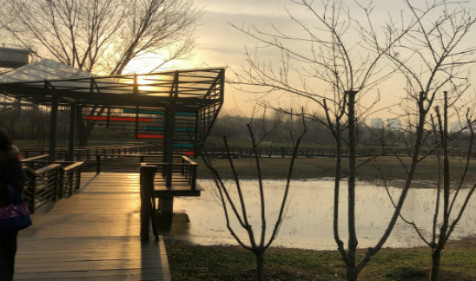 命理科普地支相冲之象 八字命理学(图文)(图2) 命理科普地支相冲之象 八字命理学(图文)(图2)