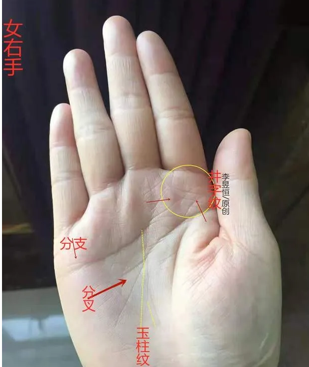看手相算命​-女人手里出现这个字，一生不愁吃喝穿！(图2)