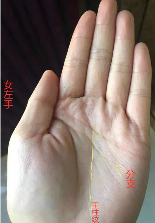 看手相算命​-女人手里出现这个字，一生不愁吃喝穿！(图4)