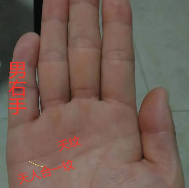 手相怎么看财运？32岁发财，多桃花的断掌纹！（图文）(图4)