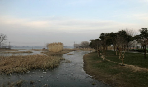 腊月初八是什么节日？腊月初八有哪些习俗？