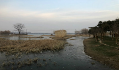 2021年腊八节日子怎么样？腊八节可以同房吗？