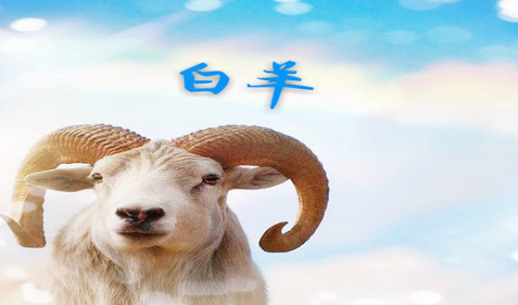 2022年生肖羊财神方位在哪里 周易算命财运2022年的发财方向