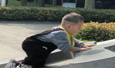 2022年阴历七月十七出生的男宝宝五行八卦算命 命运好吗（图文）(图2)