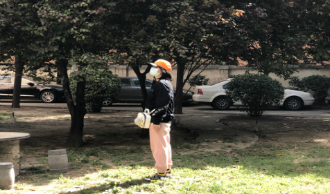 八字算婚姻​：女命财星为忌，婆媳关系失和，伤官太重克夫伤子