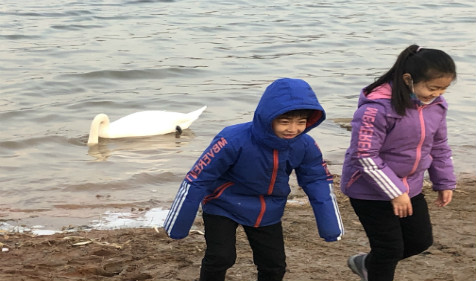 2022年六月十八出生的虎宝宝算命一对一大师算命在线八字算命​ (图2)