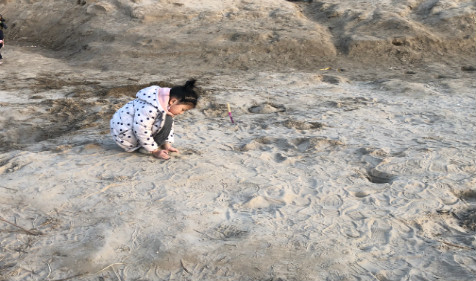 2022年1月31日出生的宝宝运势如何 算命一对一大师算命八字测命