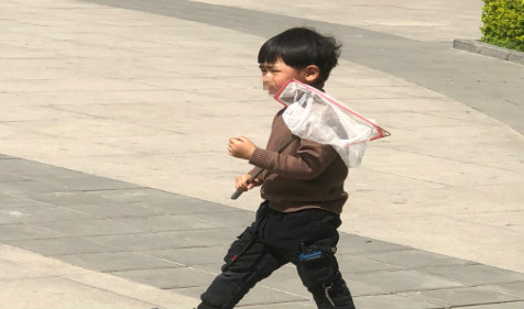 2022年1月30日十二月二十八出生的男宝宝官方算命一条街八字预测(图2) 2022年1月30日十二月二十八出生的男宝宝官方算命一条街八字预测(图2)